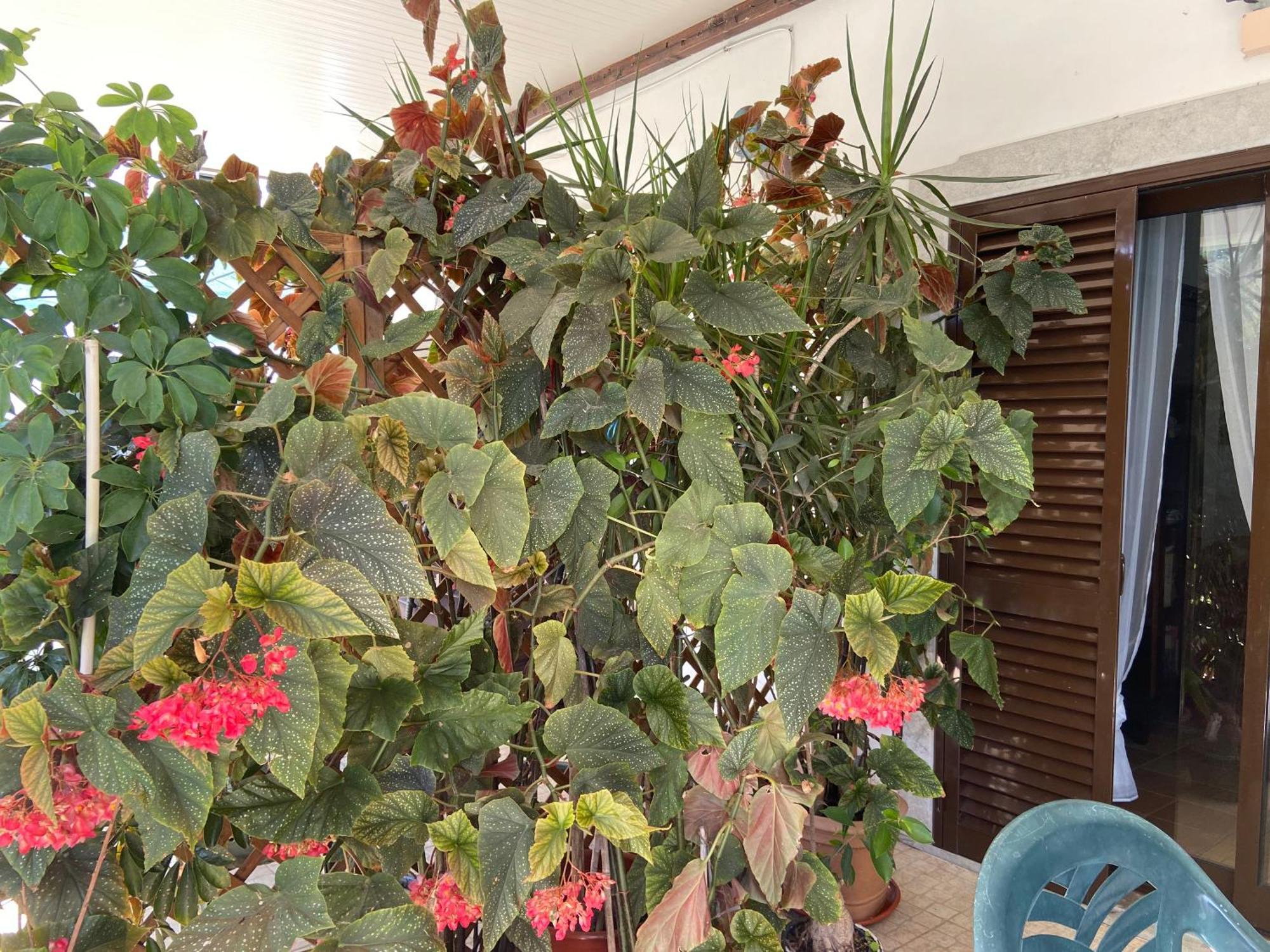 Willa A Casa Da Maria Luz de Tavira Zewnętrze zdjęcie